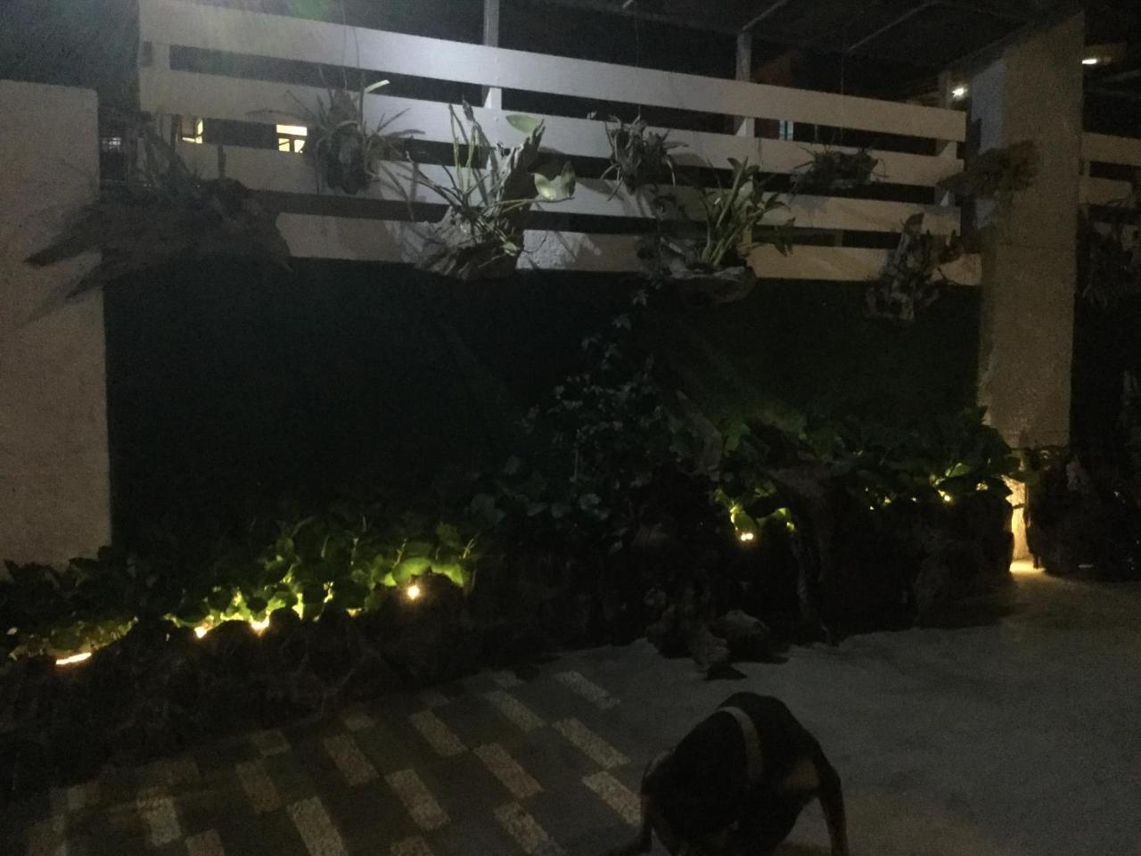 Sky View Home Da Lat Dış mekan fotoğraf